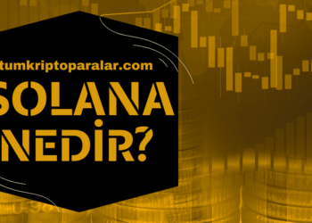 Solana Nedir